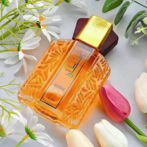 Original Brand Men Perfume Long Lasting