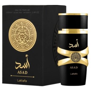 100ml Original Yara Men's