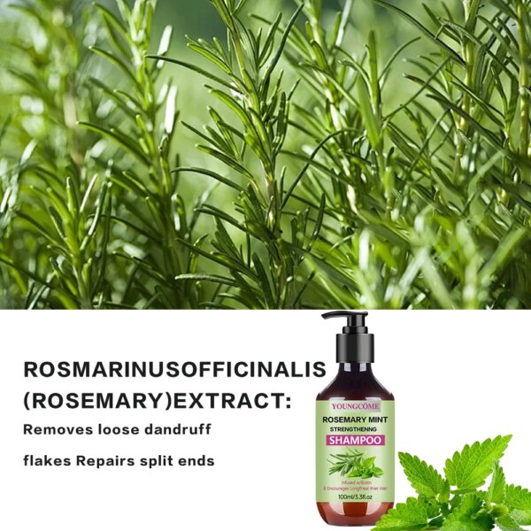 YOUNGCOME ROSEMARY MINT STRENGTHENNG SHAMPOO - Image 3